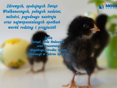 Wesołych Świąt!